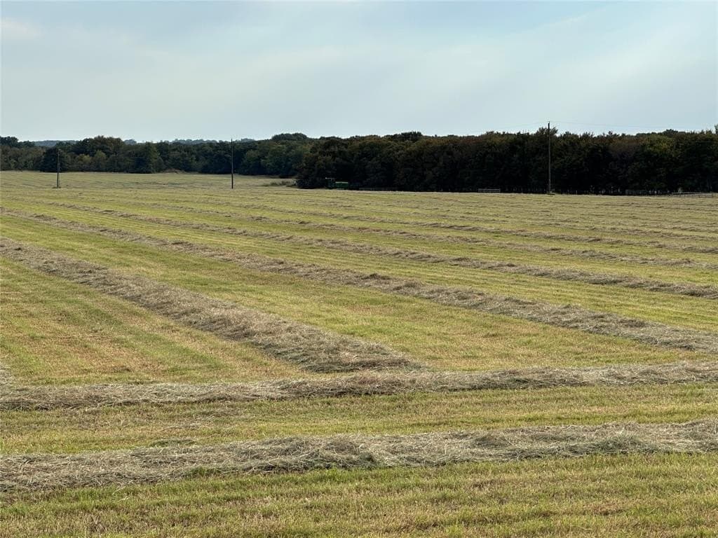 13 acres in Grayson County - photo 2