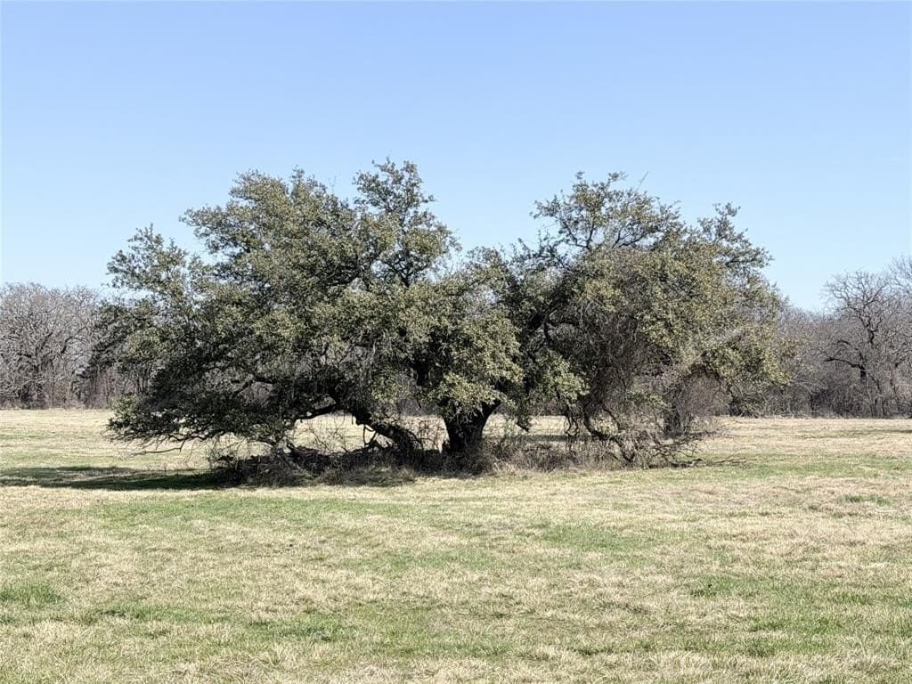 6.68 acres in Hill County - photo 5