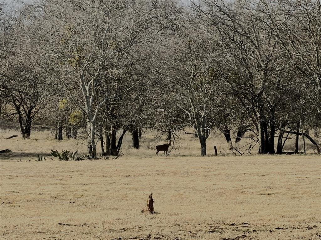 6.68 acres in Hill County - photo 10