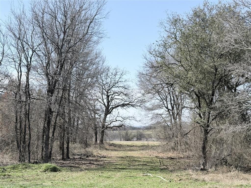 6.68 acres in Hill County - photo 3