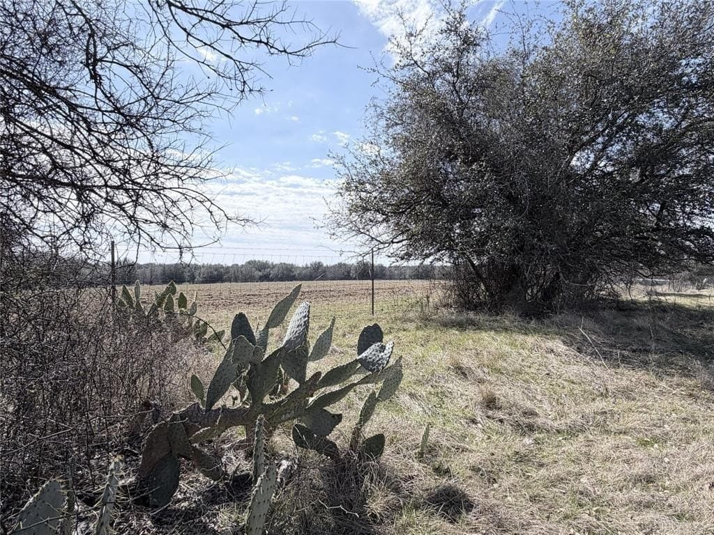 6.68 acres in Hill County - photo 7