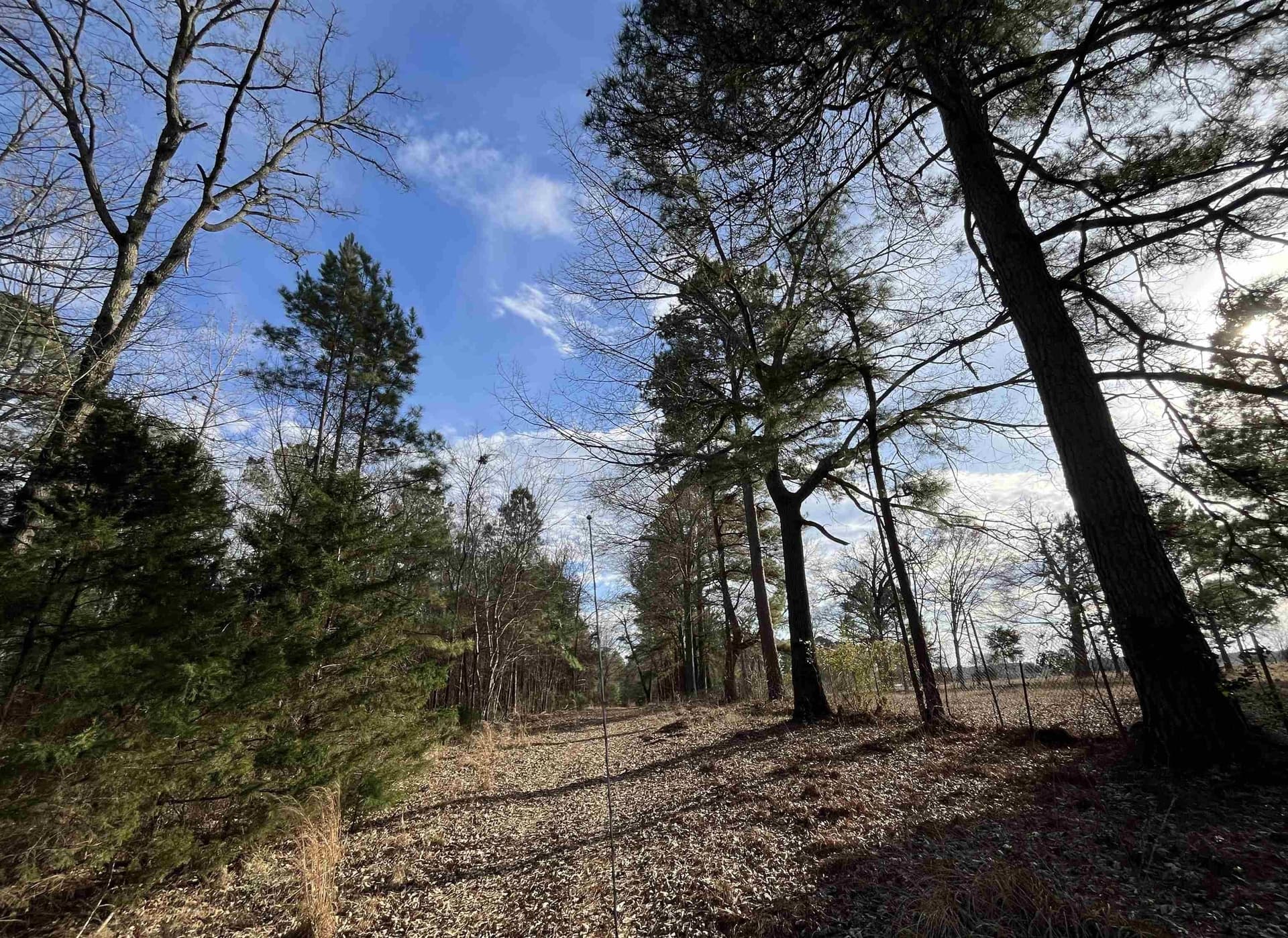 38.32 acres in Texas County - photo 2