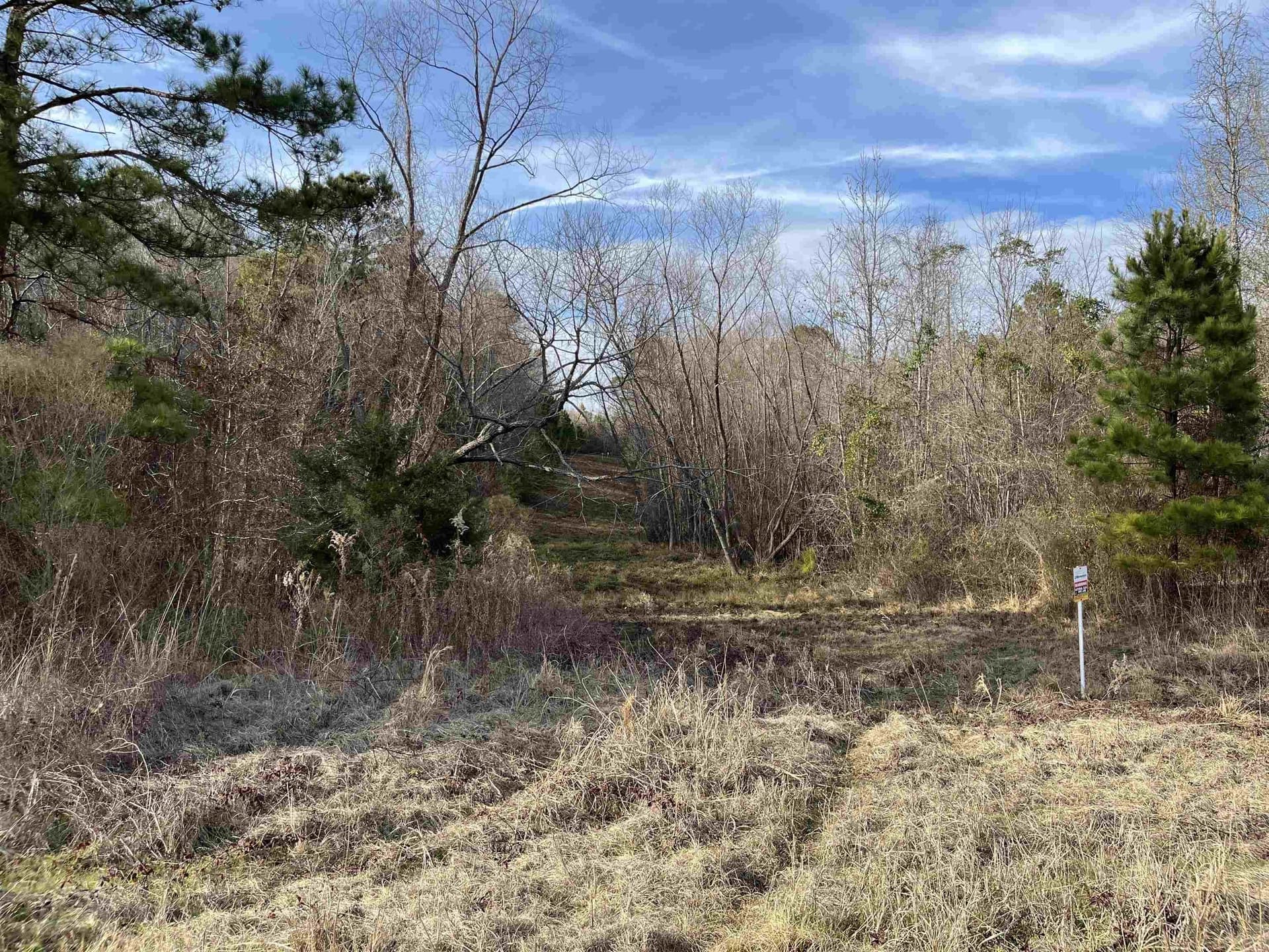 38.32 acres in Texas County - photo 4
