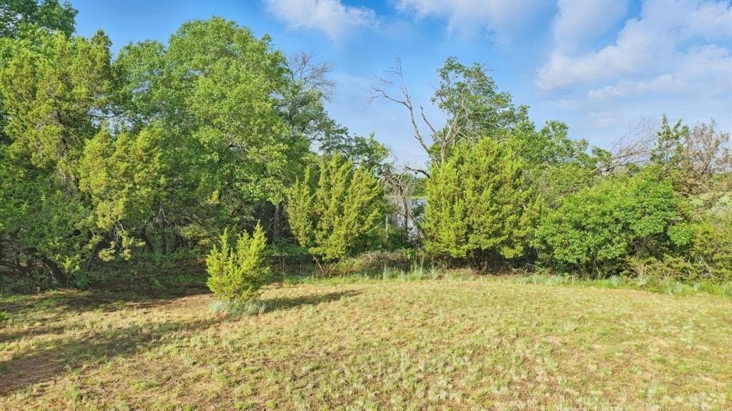 2.28 acres in Parker County - photo 5