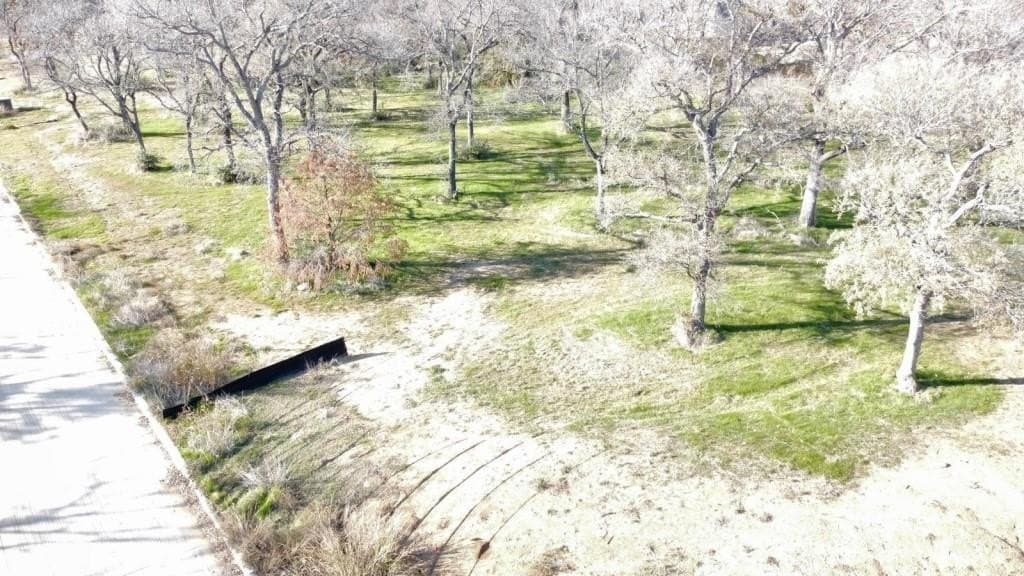 1 acres in Denton County - photo 12