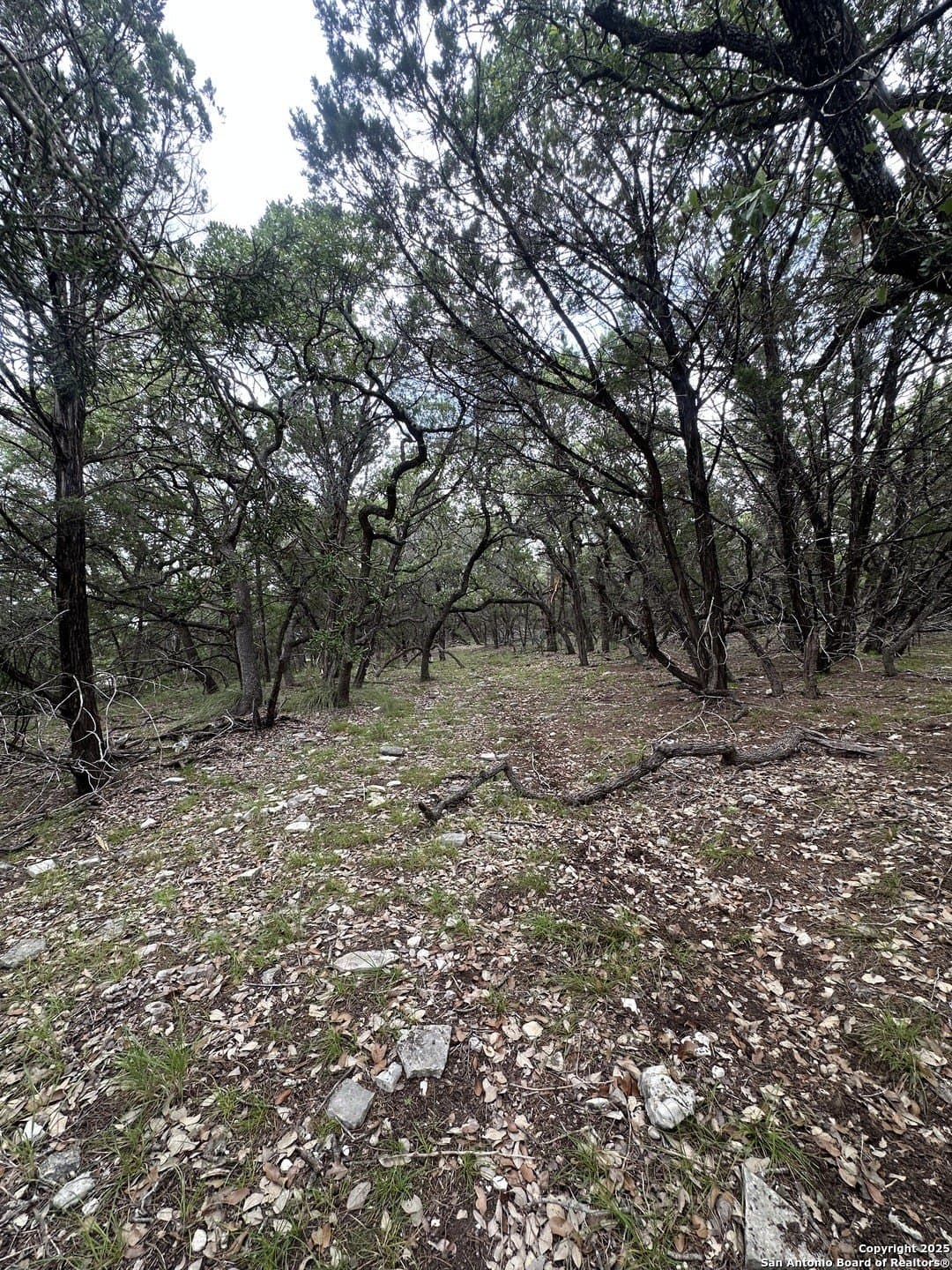 1.91 acres in Bexar County - photo 9