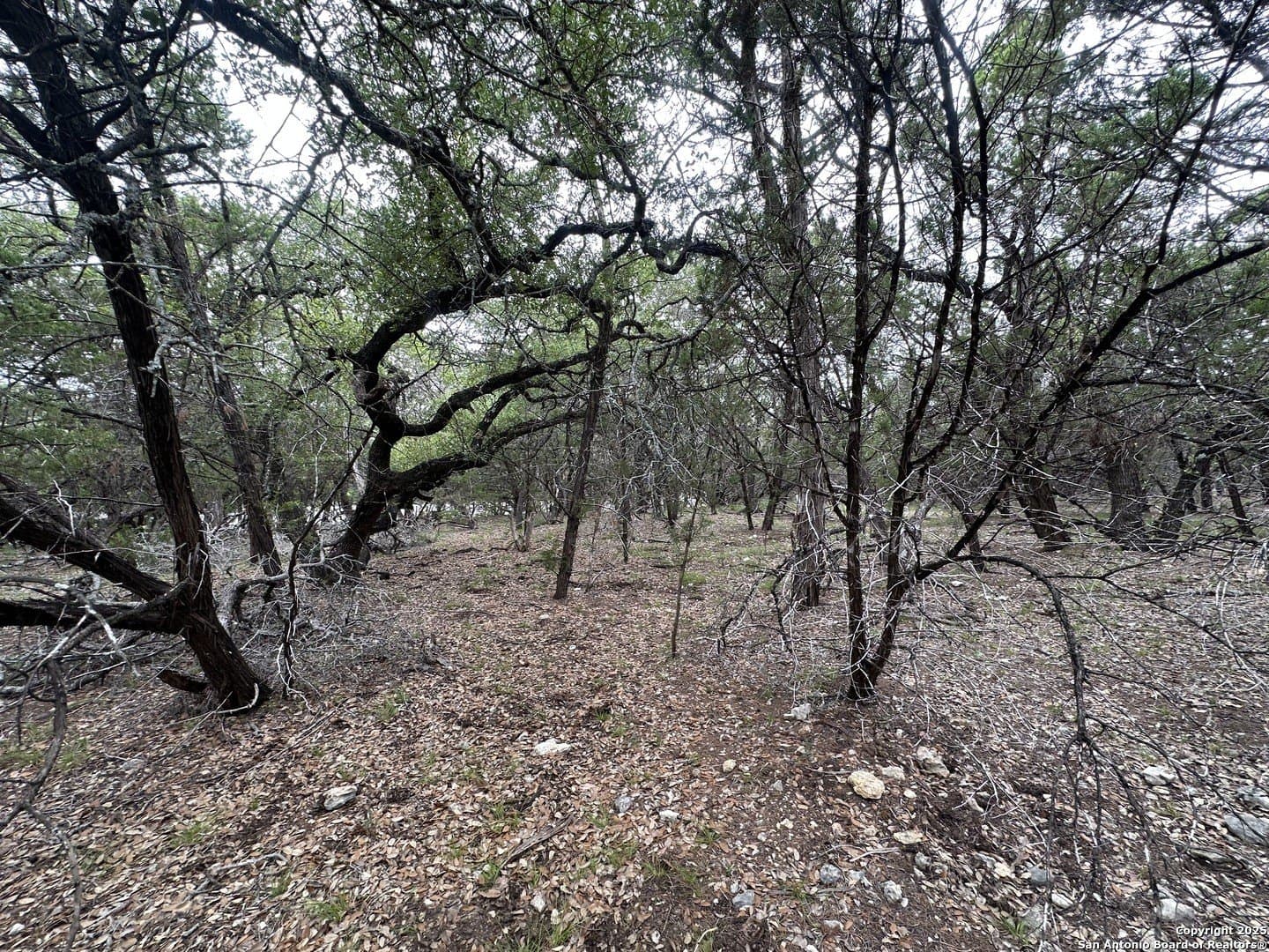 1.91 acres in Bexar County - photo 7