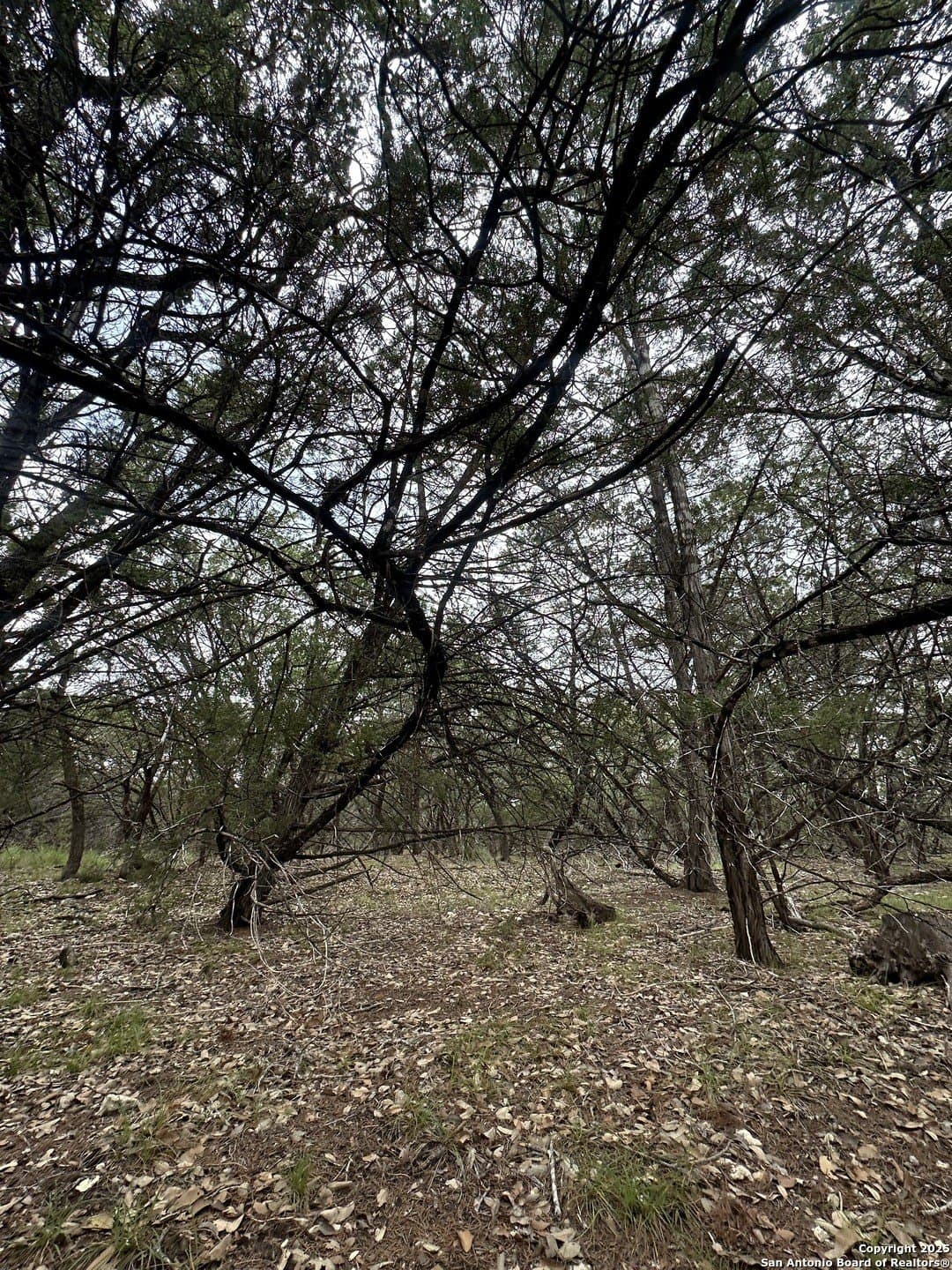 1.91 acres in Bexar County - photo 5