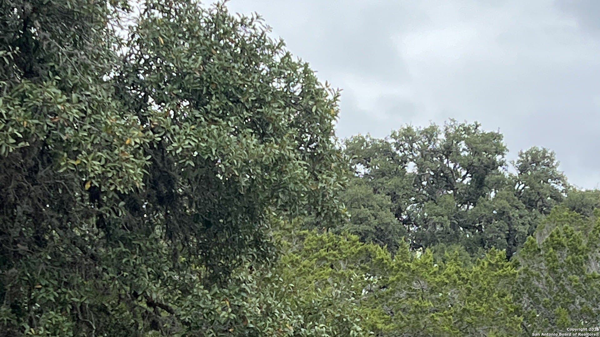 0.6 acres in Bandera County - photo 4