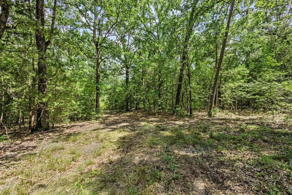 110 acres in Red River (TX) County - photo 4