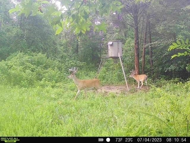110 acres in Red River (TX) County - photo 24