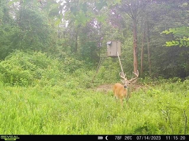 110 acres in Red River (TX) County - photo 21