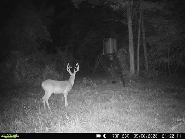110 acres in Red River (TX) County - photo 27