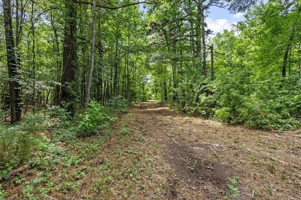 110 acres in Red River (TX) County - photo 2
