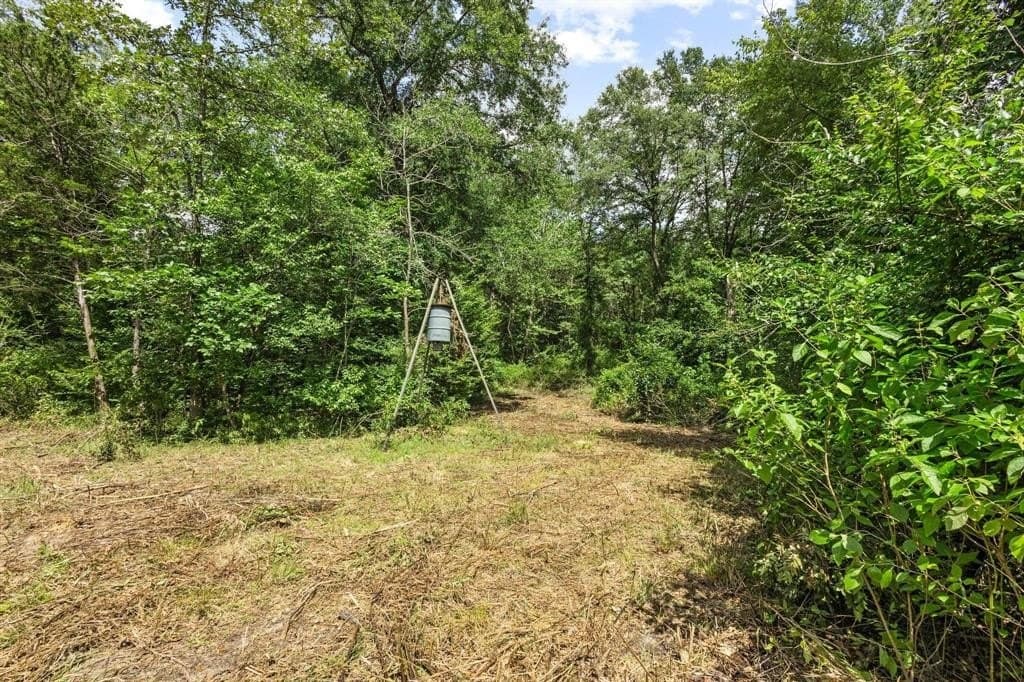 110 acres in Red River (TX) County - photo 3