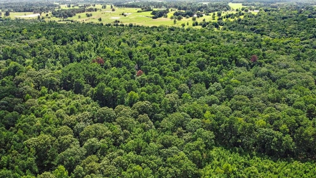 110 acres in Red River (TX) County - photo 12