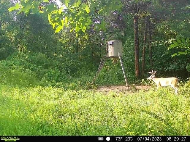 110 acres in Red River (TX) County - photo 22