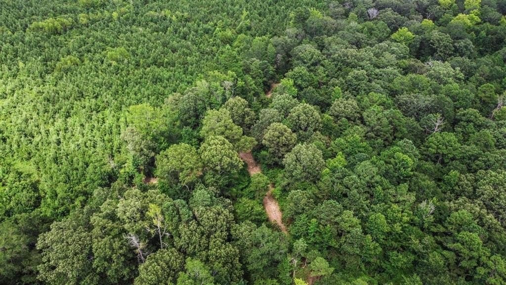 110 acres in Red River (TX) County - photo 13