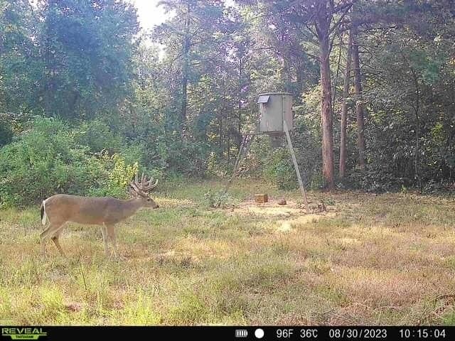 110 acres in Red River (TX) County - photo 20