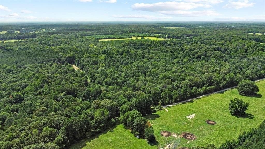 110 acres in Red River (TX) County - photo 6