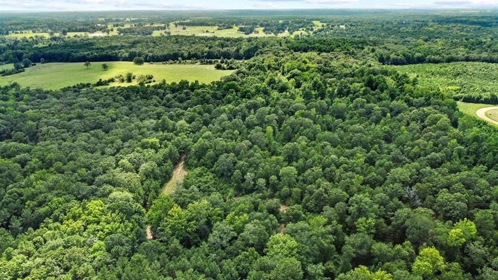 110 acres in Red River (TX) County - photo 10