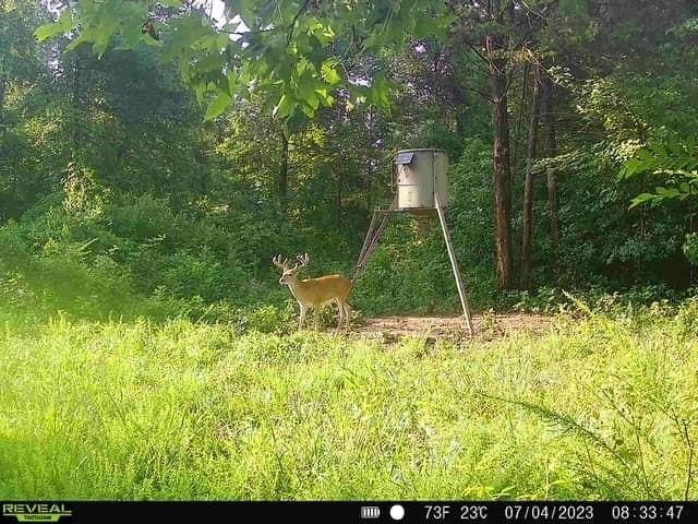 110 acres in Red River (TX) County - photo 23
