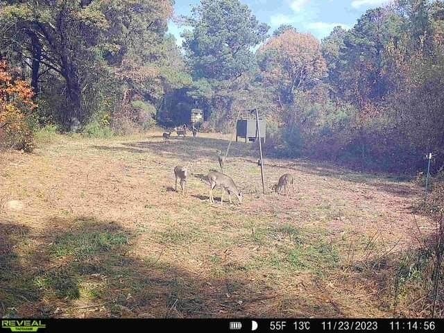 110 acres in Red River (TX) County - photo 17