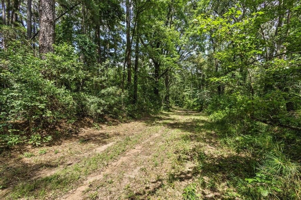 110 acres in Red River (TX) County - photo 8