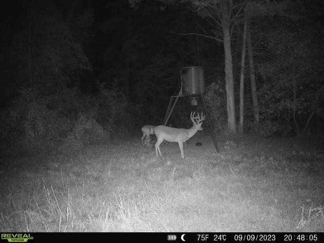 110 acres in Red River (TX) County - photo 18