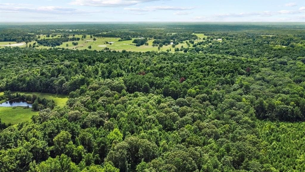 110 acres in Red River (TX) County - photo 11