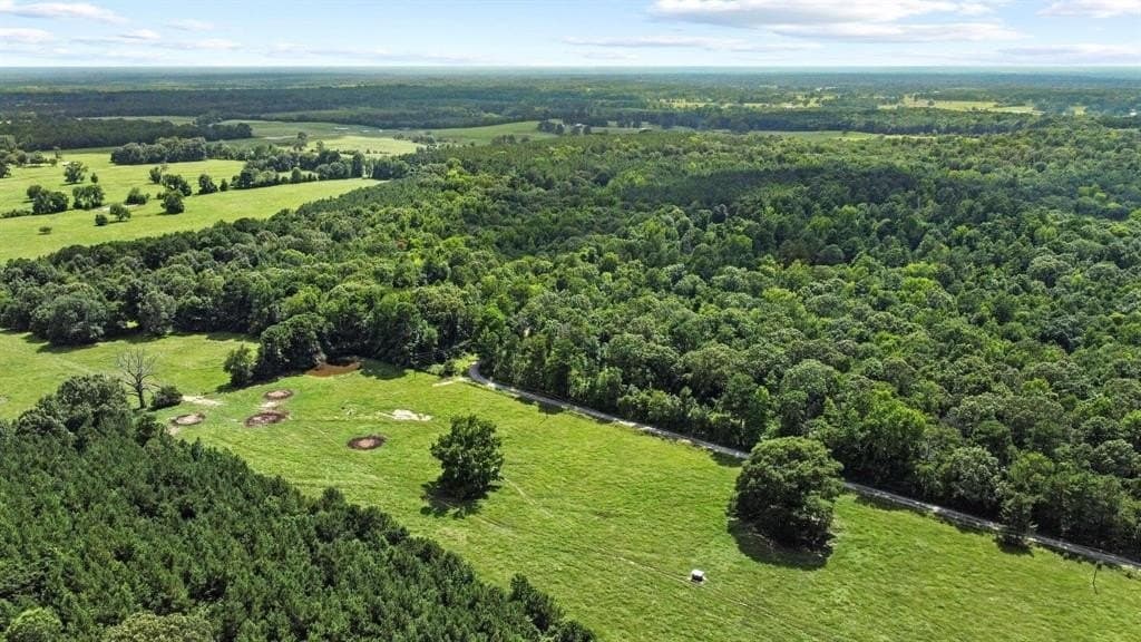110 acres in Red River (TX) County - photo 15