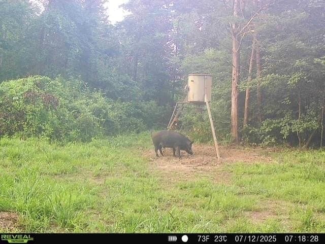 110 acres in Red River (TX) County - photo 25