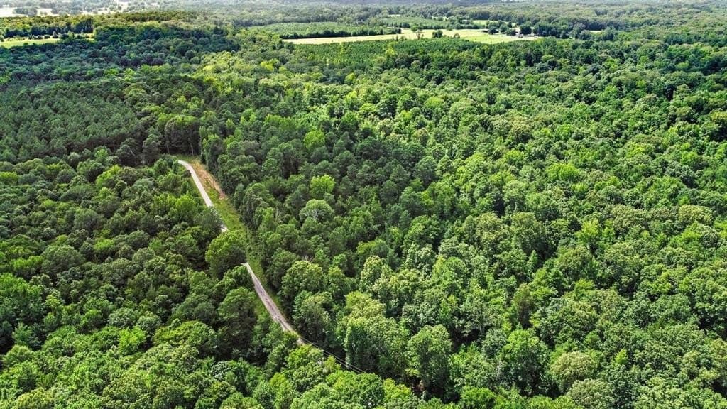 110 acres in Red River (TX) County - photo 9