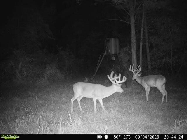 110 acres in Red River (TX) County - photo 19