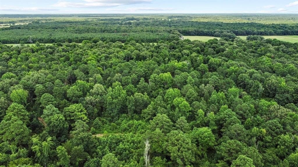 110 acres in Red River (TX) County - photo 14