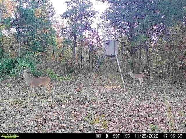 110 acres in Red River (TX) County - photo 26