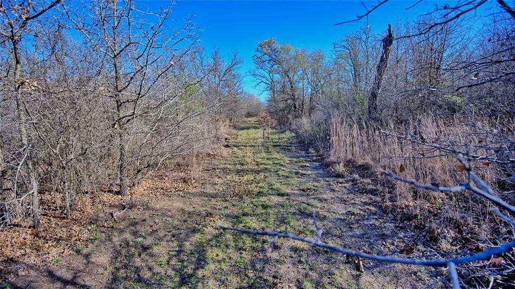 10 acres in Montague County - photo 16