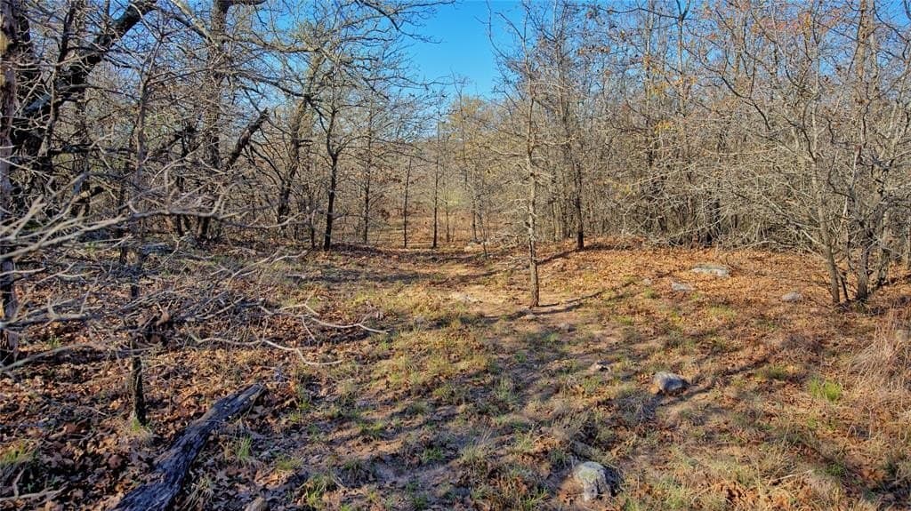 10 acres in Montague County - photo 29