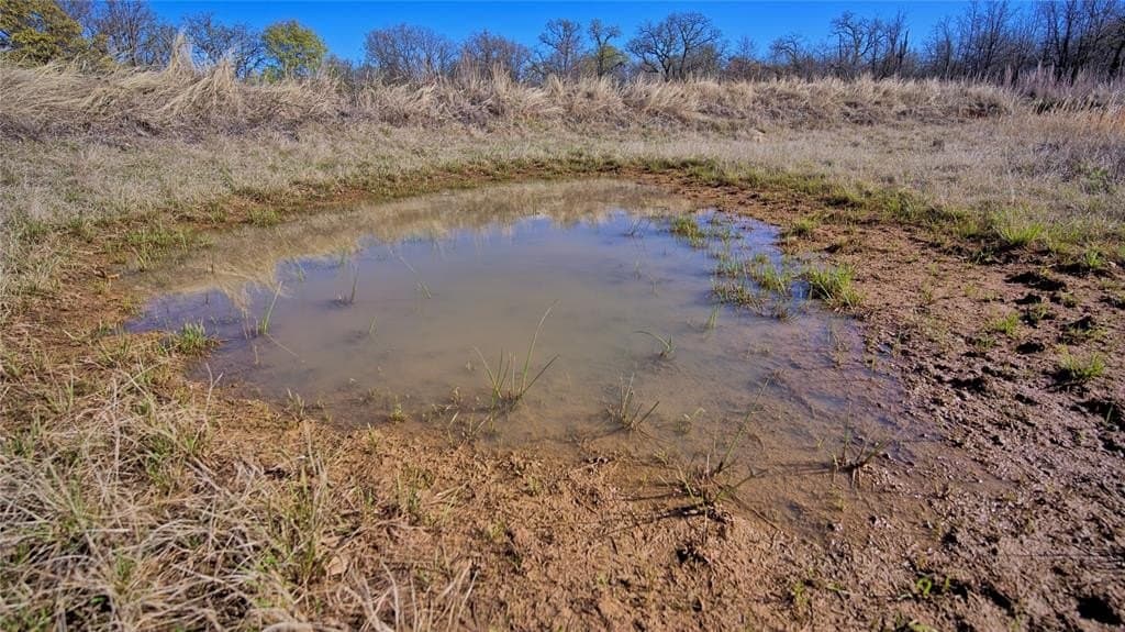 10 acres in Montague County - photo 3