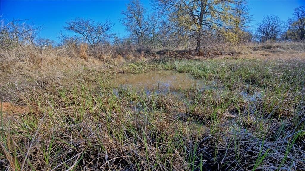 10 acres in Montague County - photo 32
