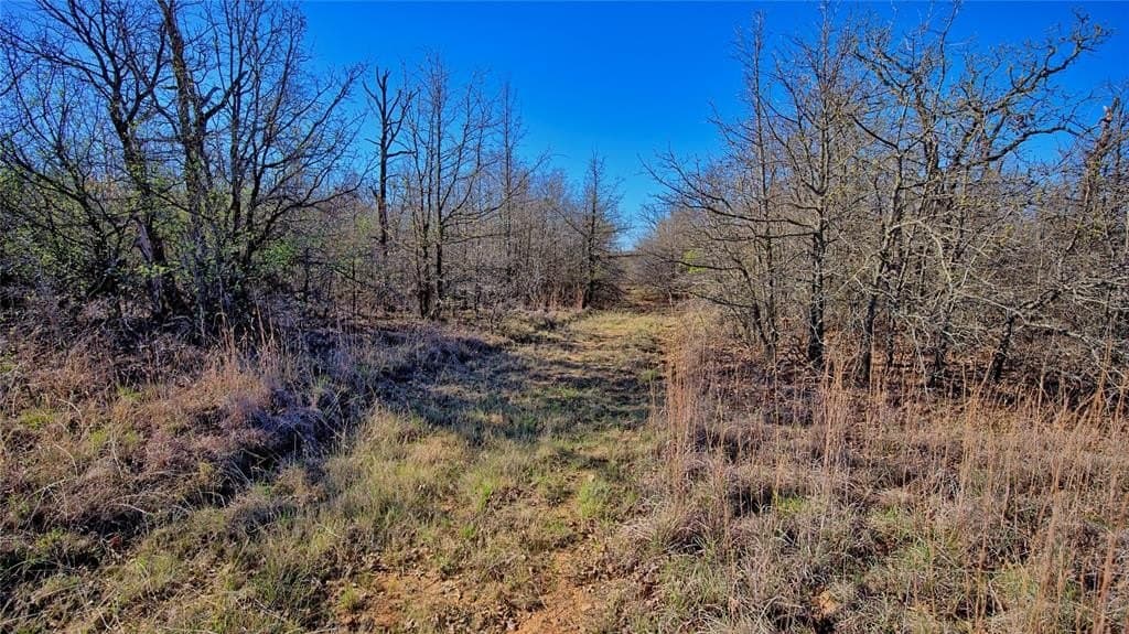10 acres in Montague County - photo 15