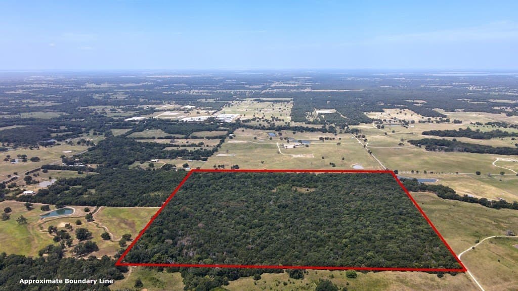 49.68 acres in Henderson County - photo 14