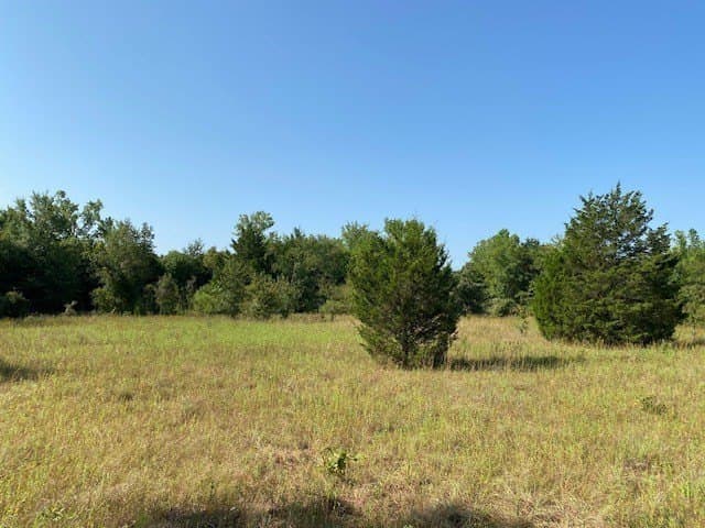 49.68 acres in Henderson County - photo 10
