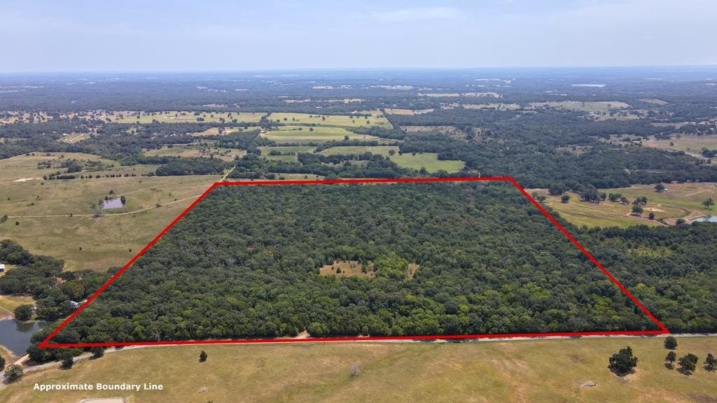 49.68 acres in Henderson County - photo 8