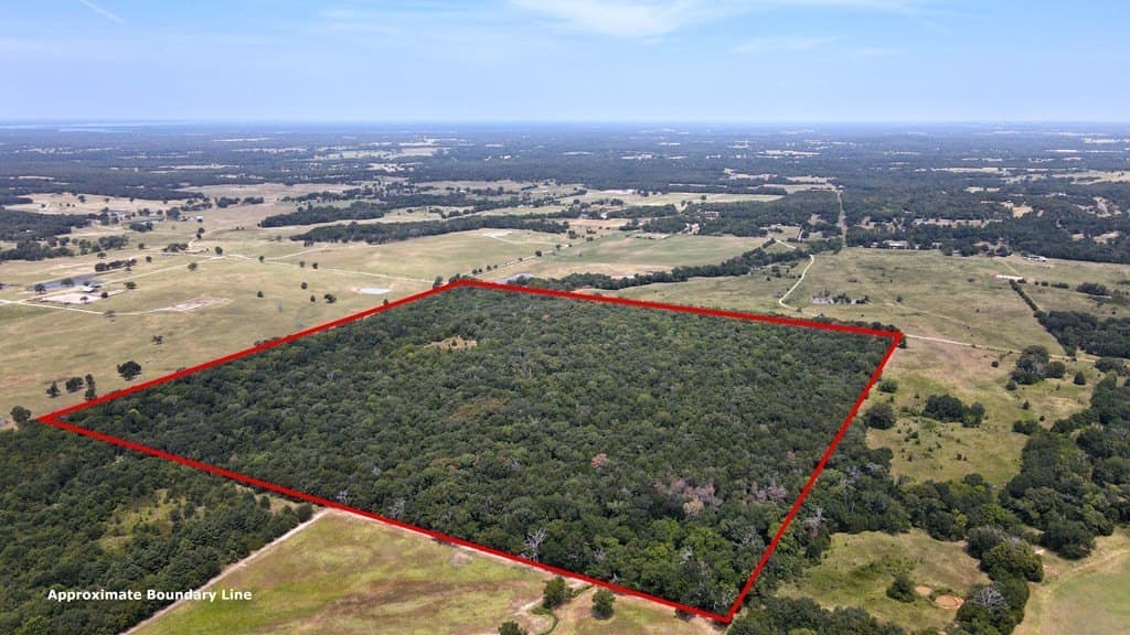 49.68 acres in Henderson County - photo 17