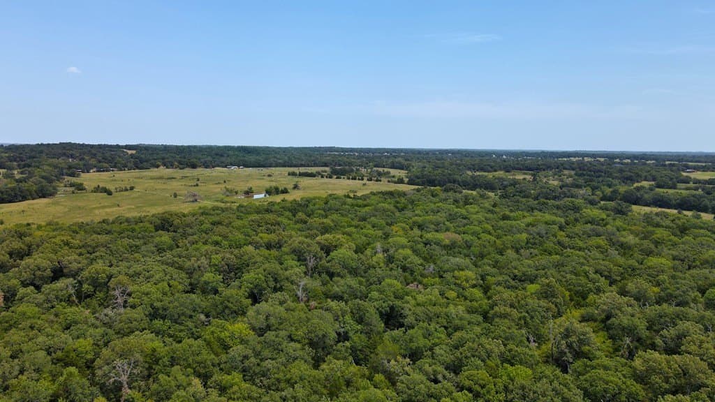 49.68 acres in Henderson County - photo 4
