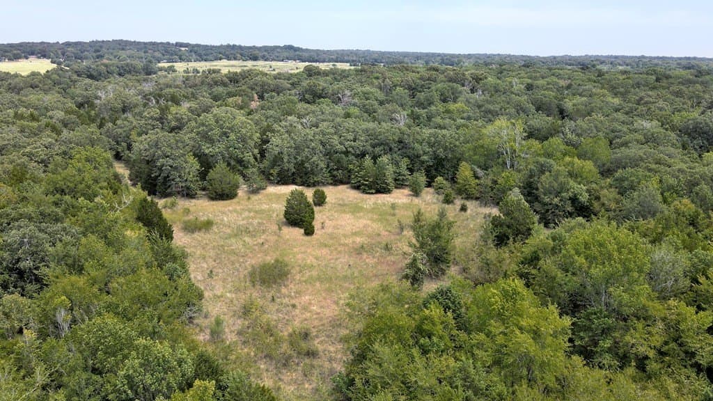 49.68 acres in Henderson County - photo 9