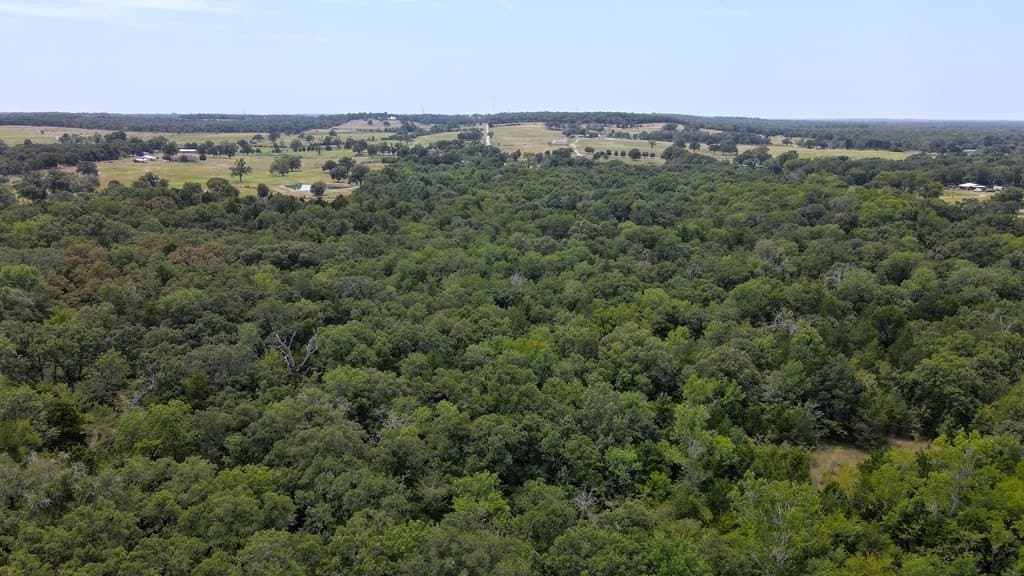49.68 acres in Henderson County - photo 5