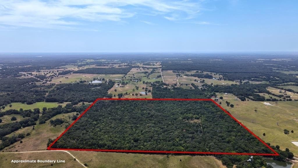 49.68 acres in Henderson County - photo 2