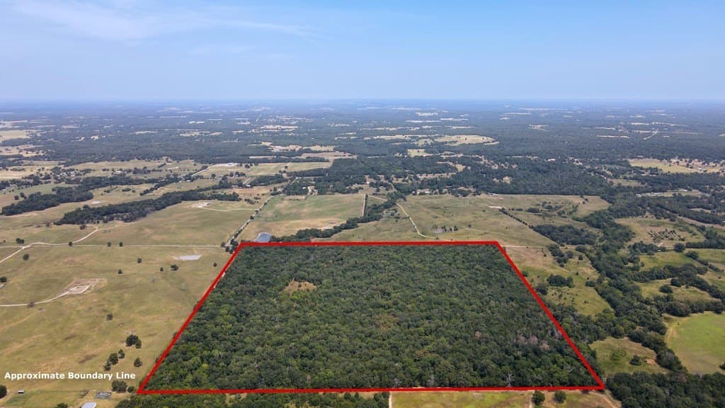 49.68 acres in Henderson County - photo 11